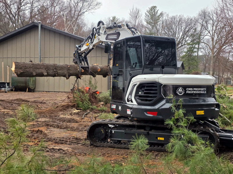 Tree cutting and removal process with professional equipment